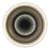 Alsuna Plafonnier Luminaires Globo Lighting LED Anthracite, 1 lumière, Télécommandes