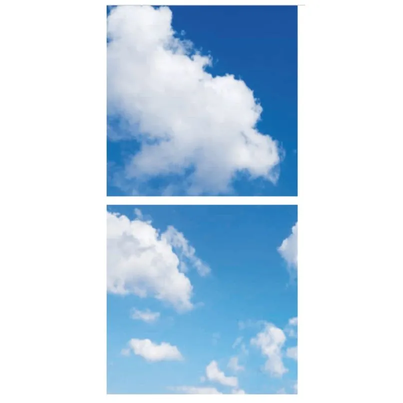 Fotoprint wolk - set van 2 acrylplaten met print, voor 60x60 cm LED panelen