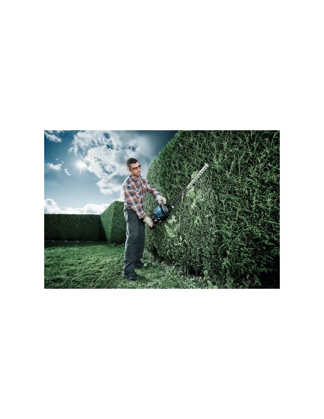 Taille-haies sans fil GHE 60 T - 0600912001 - Bosch