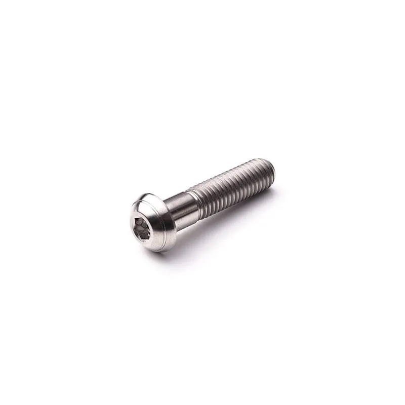 Vis Titane Tête Bombée BT M10 x 1.25mm x 65mm